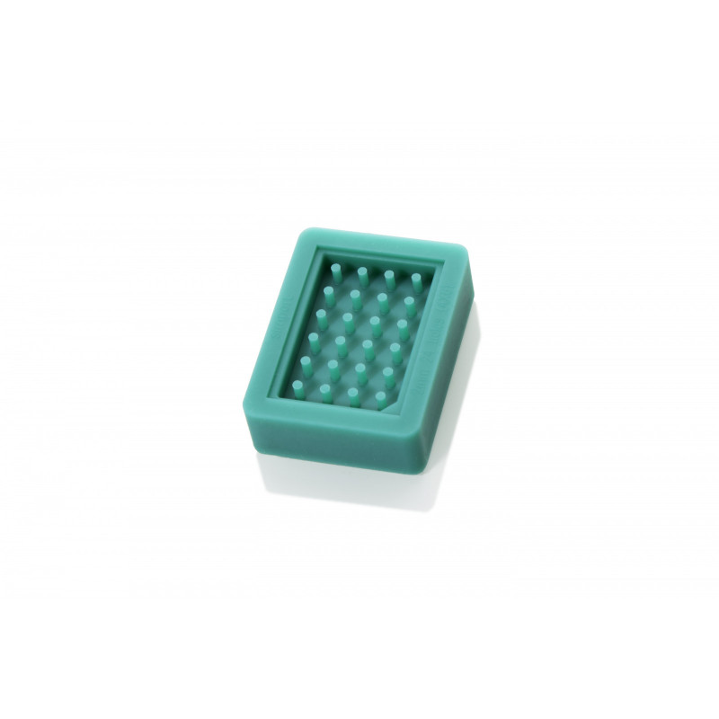 Microarray T-Sue kit in silicone forma 24 pozzetti da 2mm diametro
