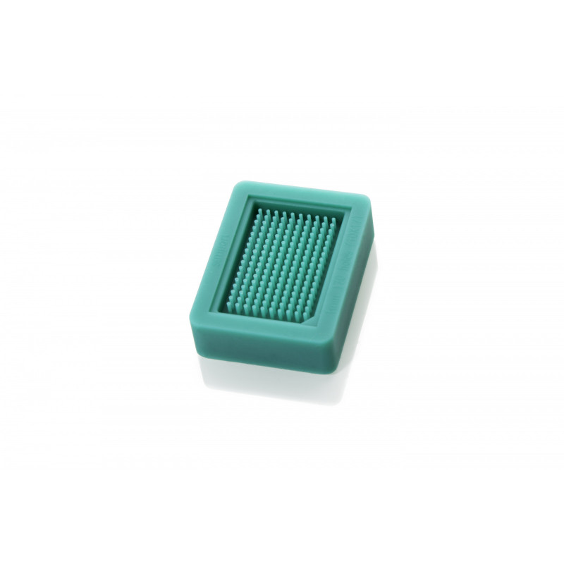 Microarray T-Sue kit in silicone forma 170 pozzetti da 1mm diametro