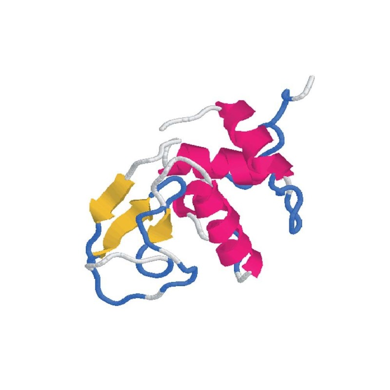 Lysozyme - 8 g Lysozyme - 8 g