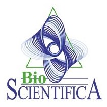 Biglie in acciaio inox da 9.5mm. Bulk da 1000 pz