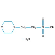 0.5 M MES monohydrate - 100 ml