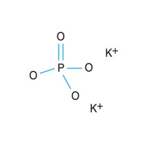4.0 M Potassium phosphate dibasic - 200 ml