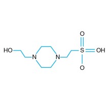 1.0 M HEPES pH 7.0 - 100 ml