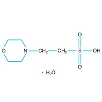 1.0 M MES monohydrate pH 6.5 - 100 ml