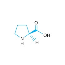 1.0 M L-Proline - 100 ml