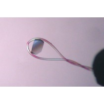 CrystalCap HT, 0.025 - 0.05 mm  - without Vial - 30/pk