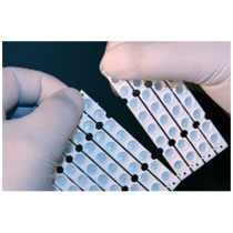 Piastra Tear-Off da 12 strip da 8x0.1ml separabili