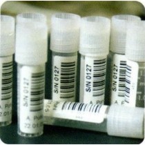 Stampa etichette Vials per Criogenia 15x5 mm