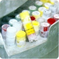 Stampa etichette Vials da laboratorio 30x15 mm