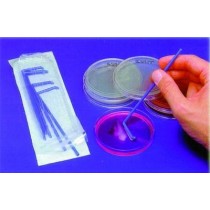 Spatulas to L to bacteriology