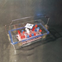 Container for the transport of samples