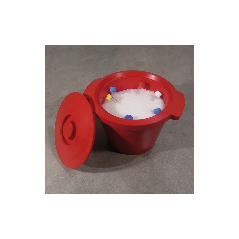 Container for ice