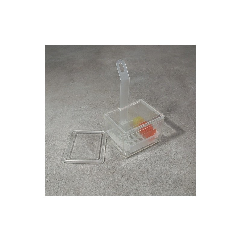 Tray for staining slides