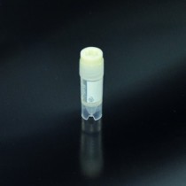 criotubi le filetage extérieur de 1,2 ml dans la Mucoviscidose.500pcs