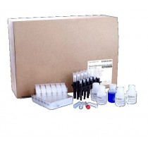 Kit estrazione viral nucleic acids from plasma serum or cell-free body fluids Sample up to 1000µL