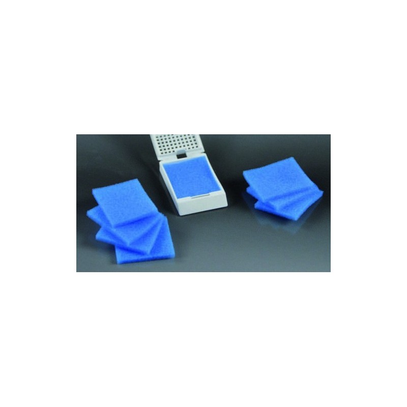 les éponges de protection CE 32x26 mm