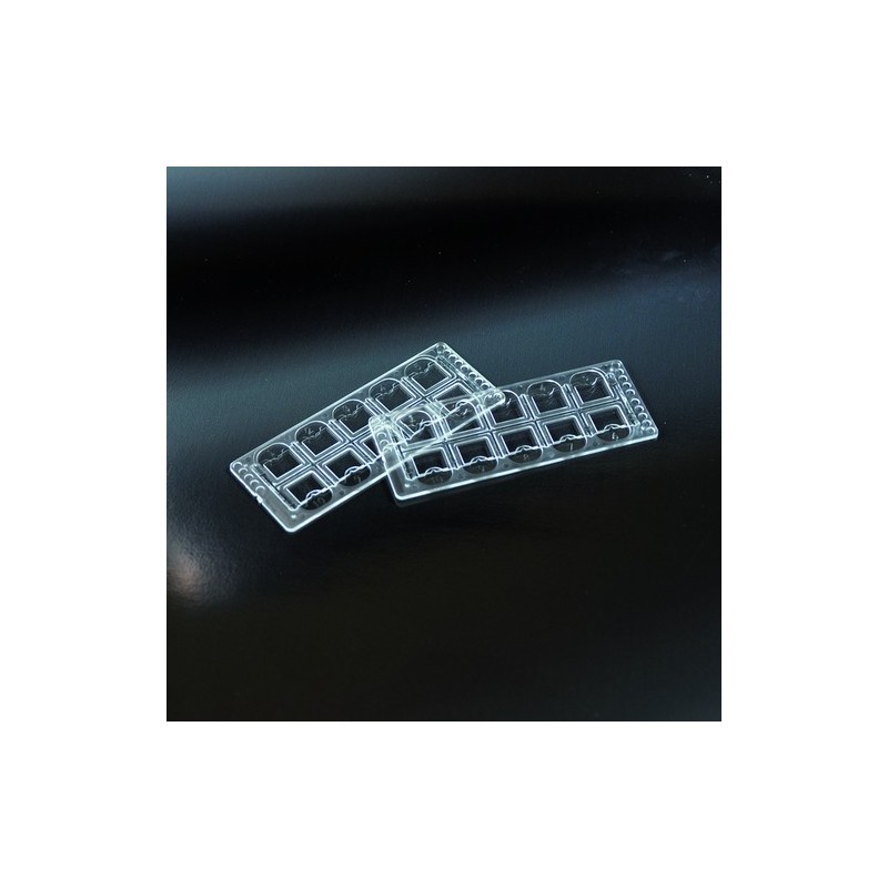 vetrini per la lettura dei sedimenti urinari a 10 celle con 5 griglie di conta