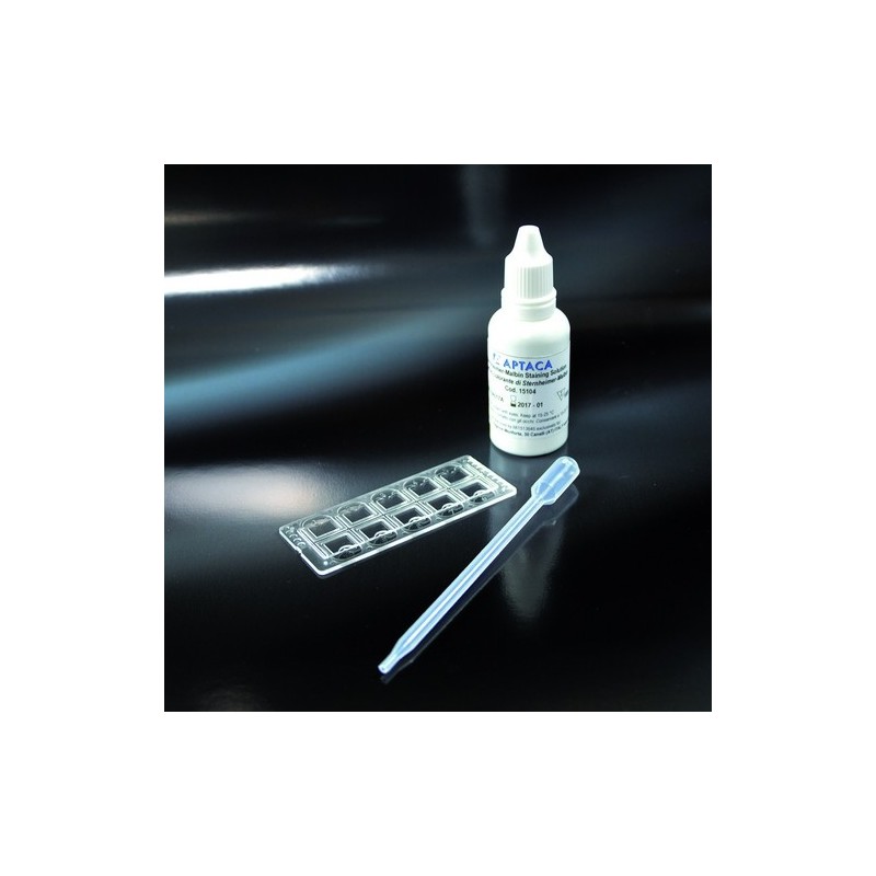 kit objektträger + pasteur-pipette + farbstoff