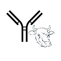 Anticorpo monoclonale per bovino CACTB51A IgG2a