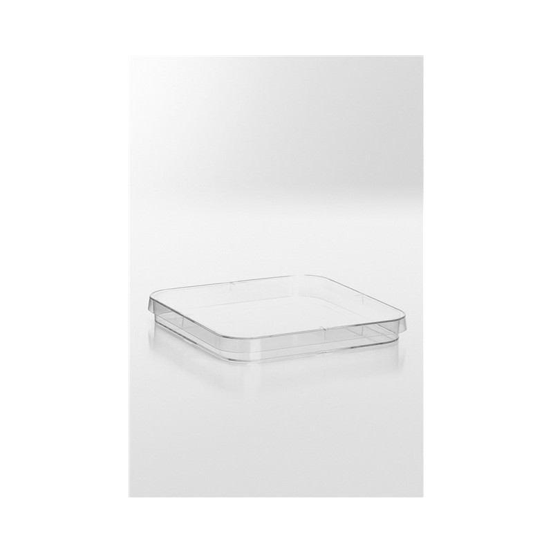 Piastre Petri  quadre 120x120 mm