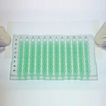 Pellicola adesiva ottica High Performance per PCR e PCR Real-Time