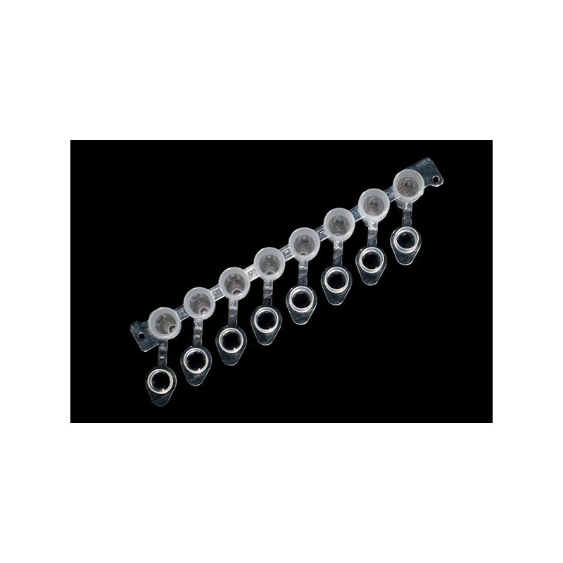 Strip 8x0.1ml (LP) con tappo ottico attaccato - Ultra-trasp Strip 8x0.1ml (LP) con tappo ottico attaccato - Ultra-trasp