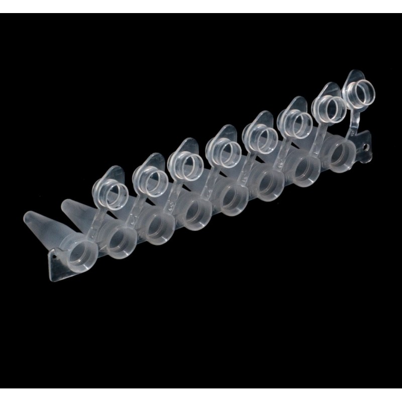 Strip 8x0.2ml (RP) con tappo ottico attaccato - Light frosted Strip 8x0.2ml (RP) con tappo ottico attaccato - Light frosted
