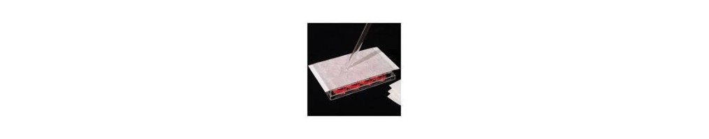 Klebefolie für mikrotiterplatten für die zellkultur