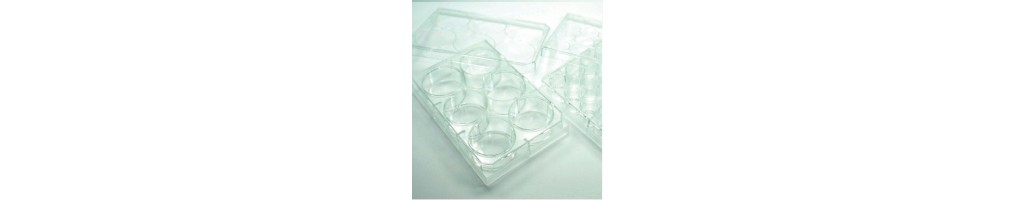 Placas multipocillo Falcon y otras marcas