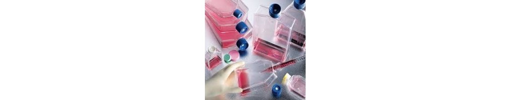 Los frascos de cultivo celular BD Falcon y otras marcas