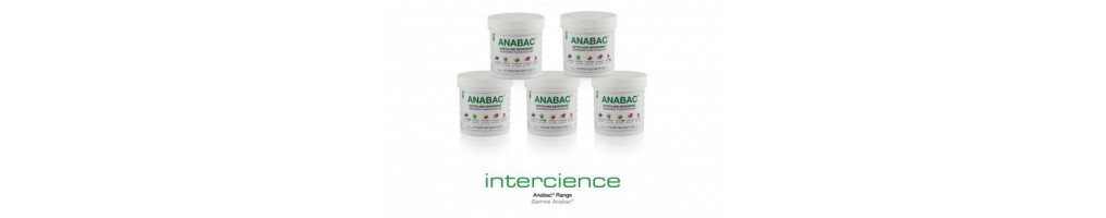 Desodorante para autoclave